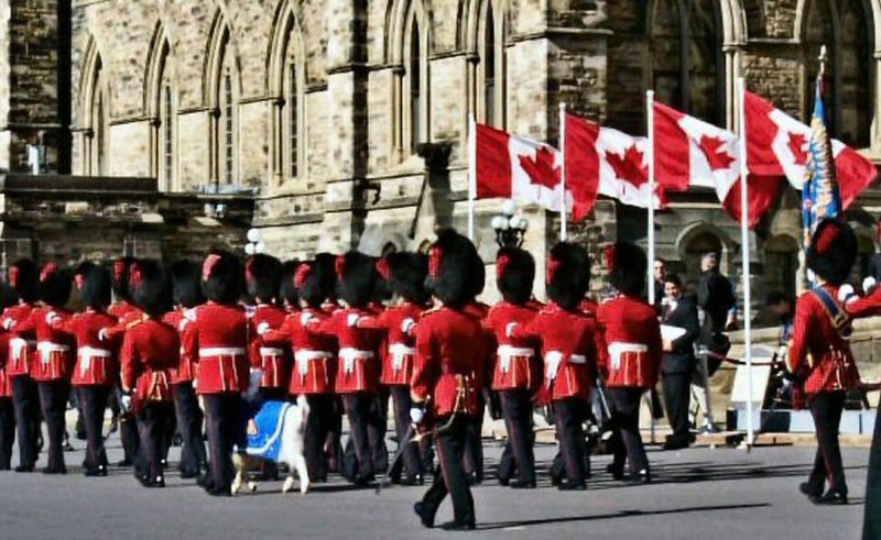 ''Van Doos'' Guard with their mascot Baptiste #10 in 2006 as they appear on parade