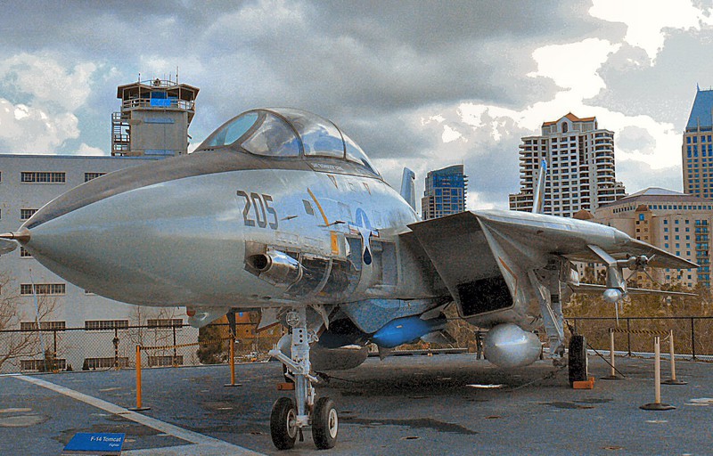 The Mach 2.3 F-14 Tomcat entered service in 1974, and starred in the movie ''Top Gun''.