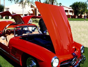 gullwing 300SL Mercedes  Famous owners include Jay Leno and Canada's late PM Pierre Trudeau.