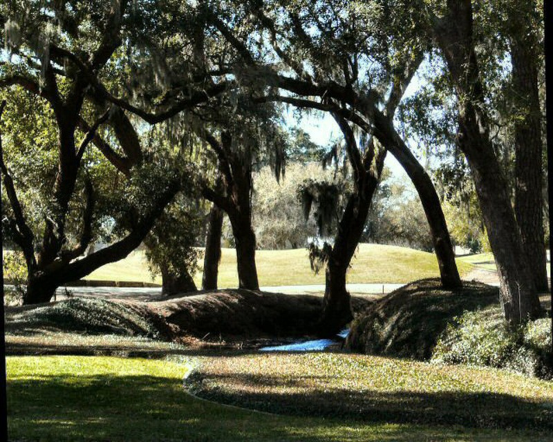 Retreat Plantation has a fine golf course.