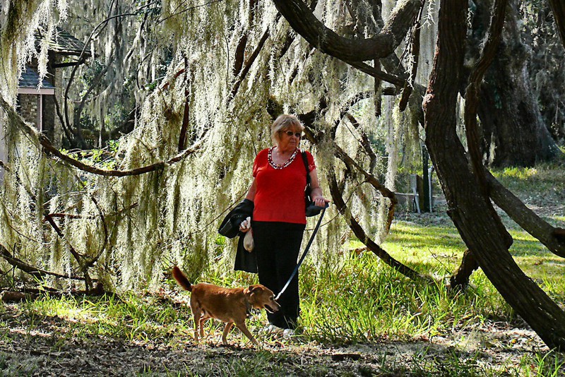 Margo and Mocha strolling through the Fort's grounds amidst live oaks and spanish moss
