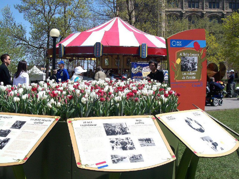 The info kiosk at Commissioners' Park explains the origins of the Tulip Festival.