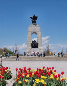Tulips at the Memorial to two World Wars, Korea, Afghanistan, and peacekeeping
