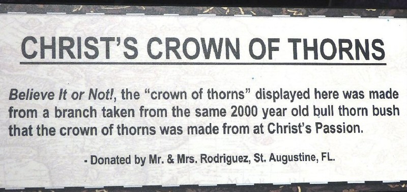 ''Christ's crown'' info