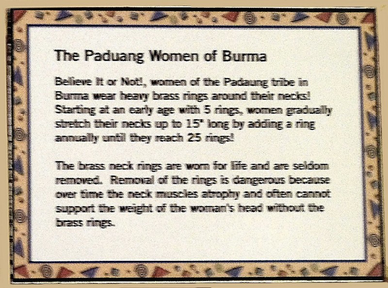Paduang women info