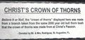 ''Christ's crown'' info