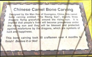 camel bone carving info