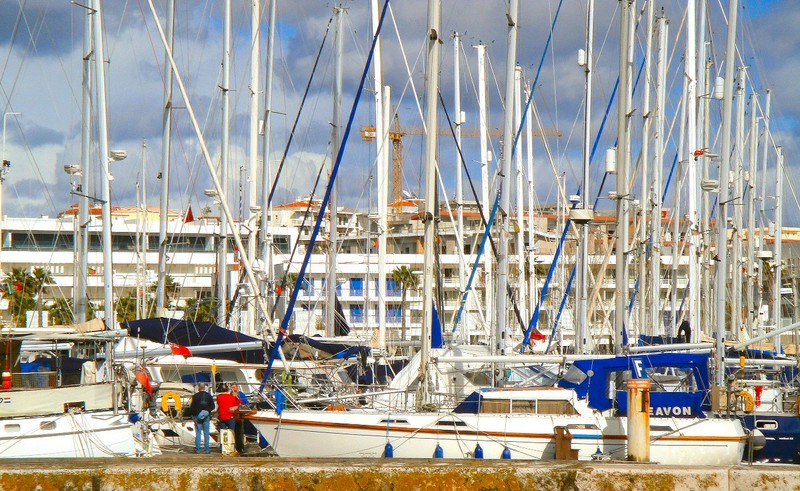 Sailing is a very popular sport, as this marina shows