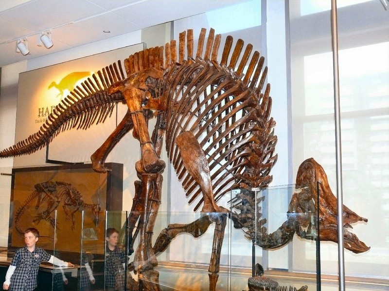 Hidrosaurus