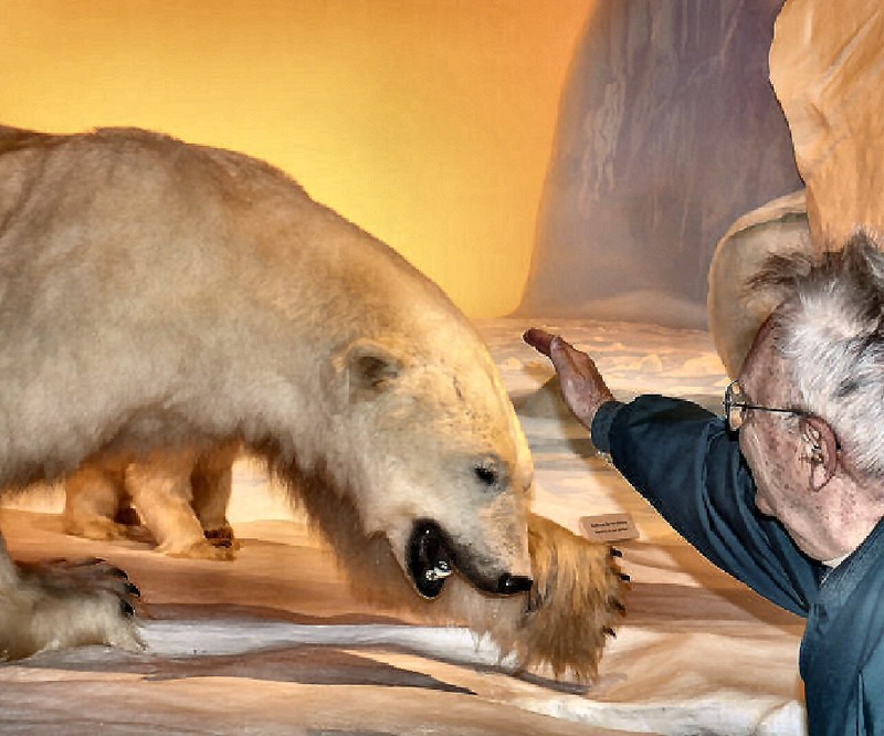 ''making friends'' with a polar bear, the largest land-based carnivore