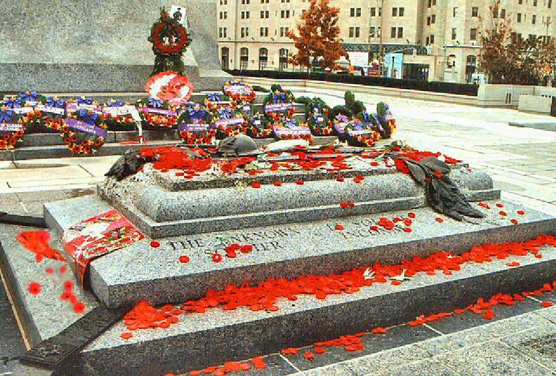 Tomb of the Unknown Soldier, Remembrance Day, November 11