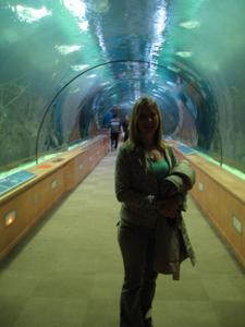 Fishy Tunnel!