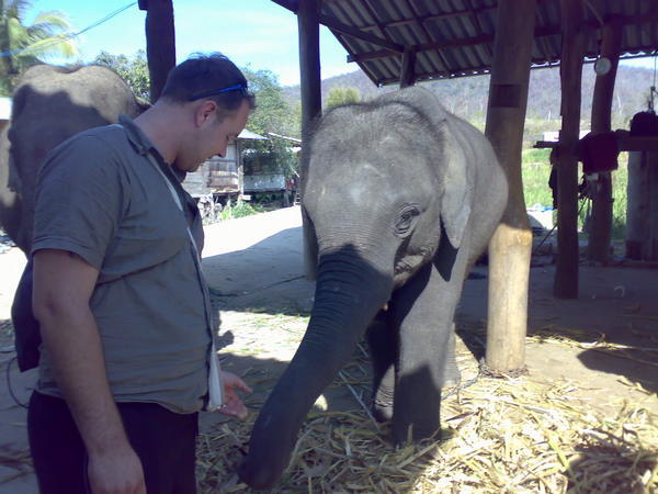 Steve and one of the elephants