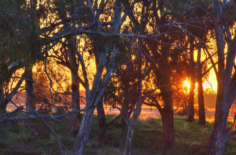 Sunset on Macquarie River near Dubbo