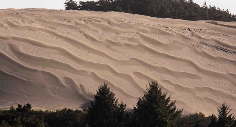 Oregon Sand Dune recreational