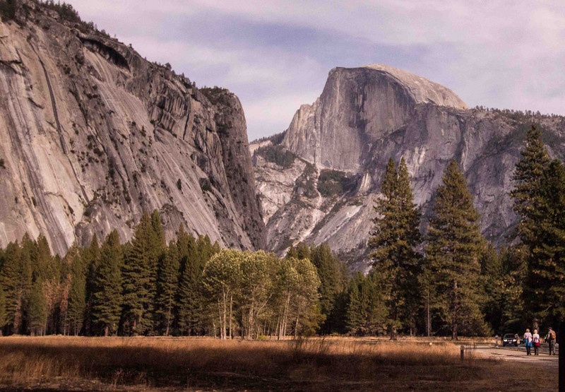 Half Dome from Village medow