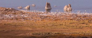 Mono Lake foreshore salt pillars