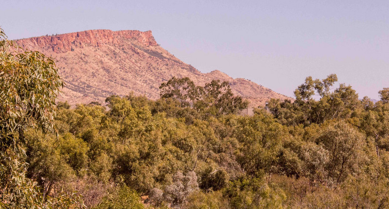 MacDonnell Range from Olive Pink Botanical Gardens in Alice springs