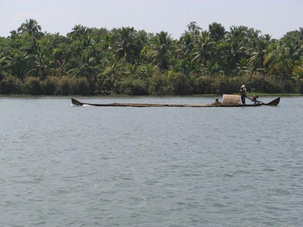 Kerala Backwaters 3