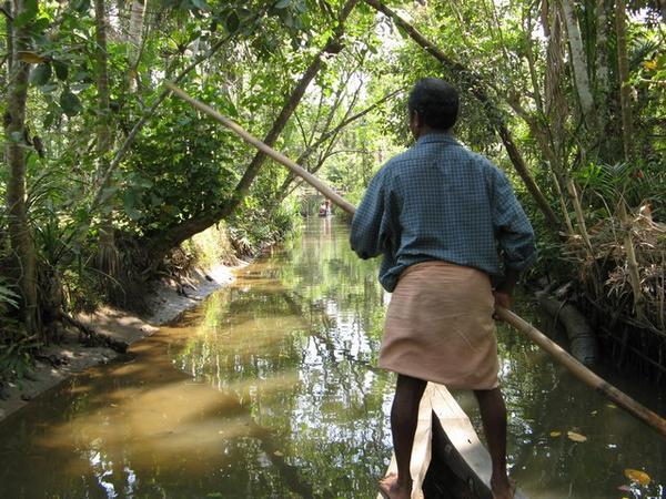 Kerala Backwaters 4