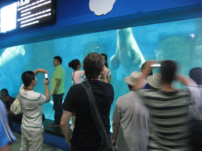 Pole Aquarium
