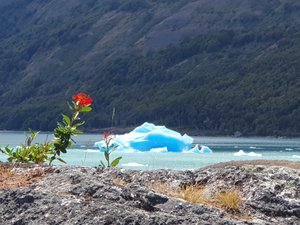 Tierra de fuego: a song of ice and fire 