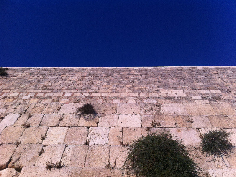 Le Mur