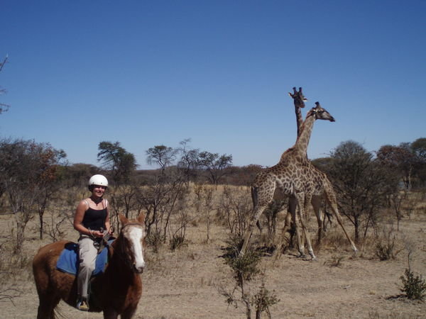 Horseback Safari
