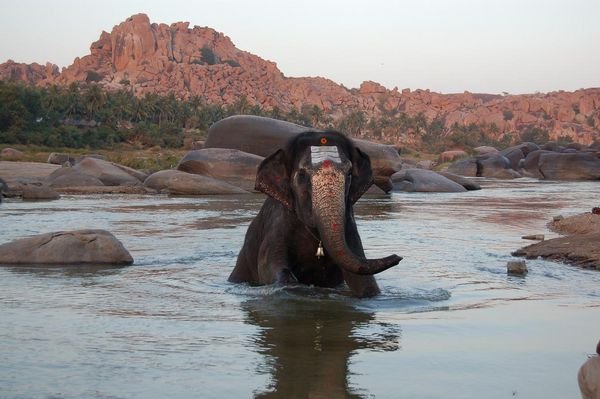 Hampi - Elephant Bath