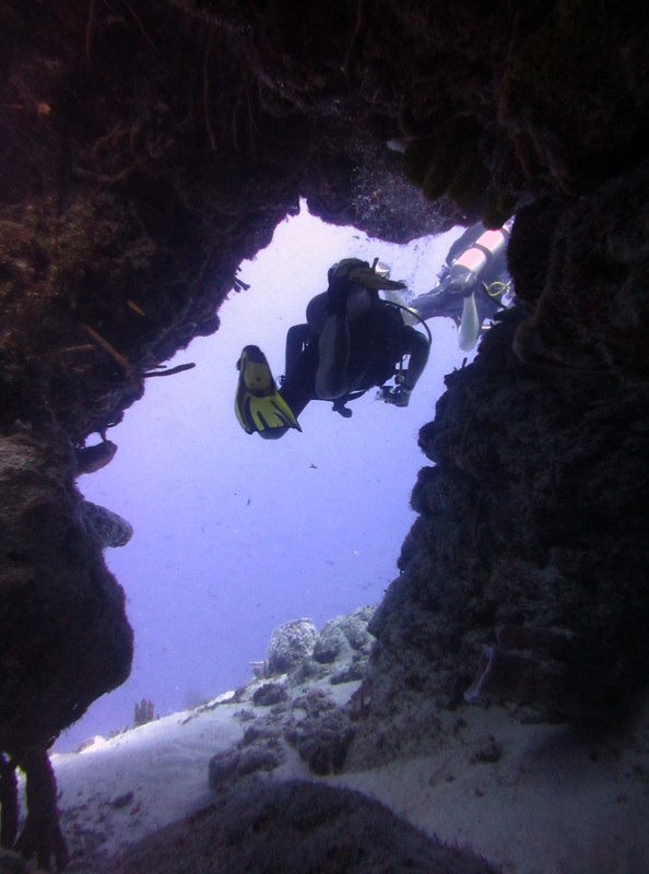 Diving off Cozumel