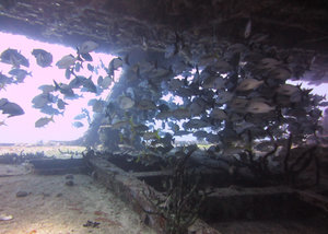 Battleship wreck - diving off Isla Mujeres