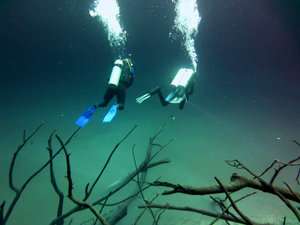 Diving at Angelita Cenote - Tulum