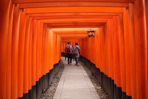 Tori gates, Fushimi Inari 