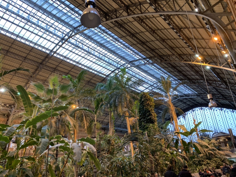 An inside terrerium at the Atocha station 