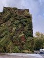 Vertical Garden Caixa Forum - Madrid