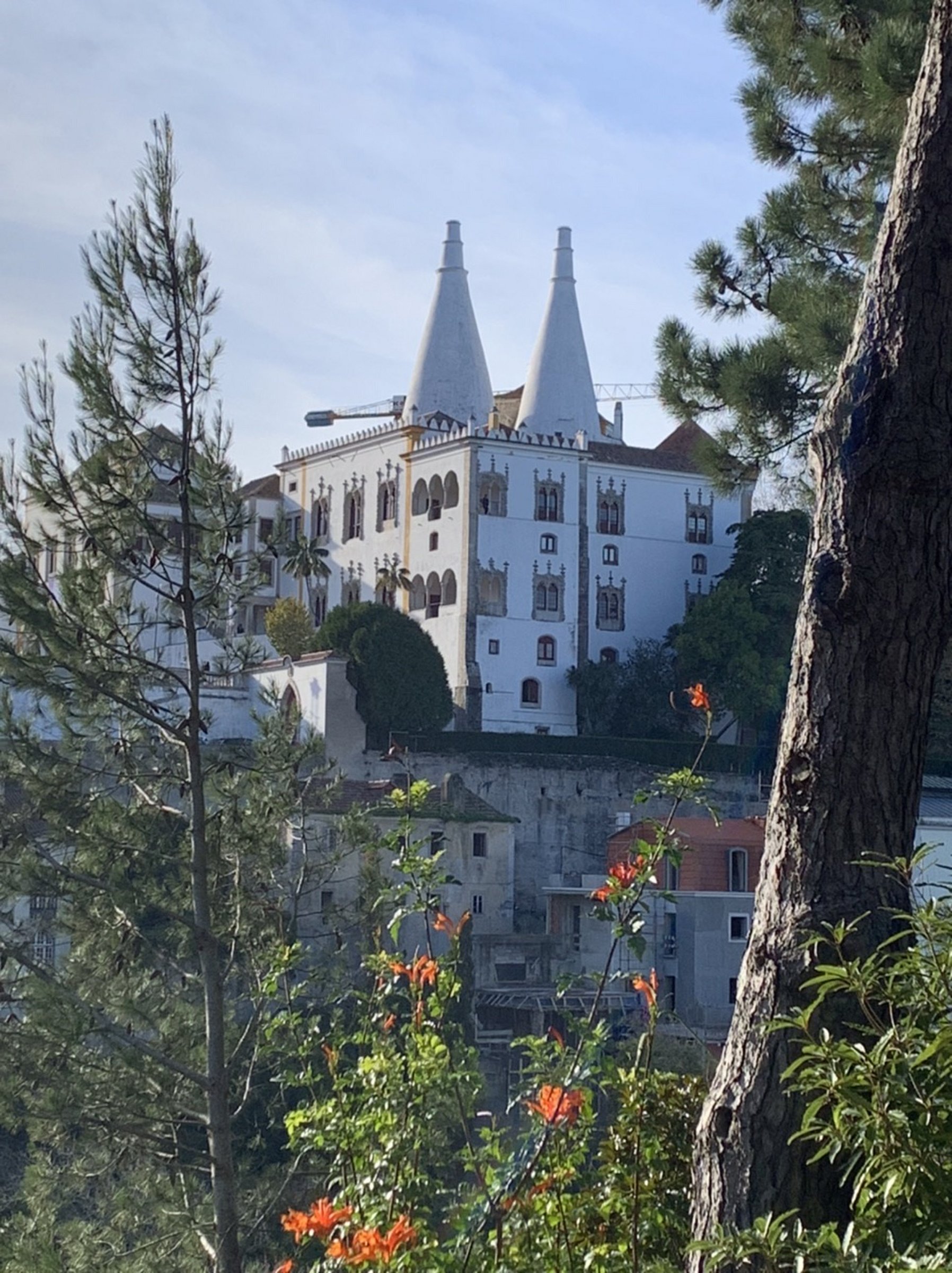 The chimney’s of the Sintra Palace....the larger, the higher the status ...