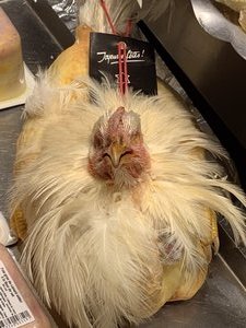 An unplucked chicken!