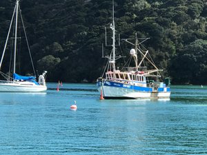 Opua Bay - Northland New Zealand