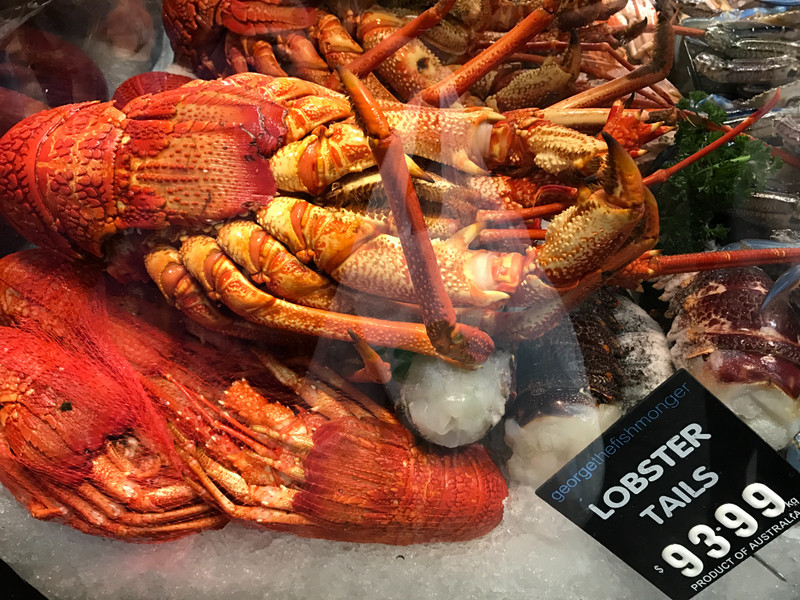 Huge Lobster - Check the price!