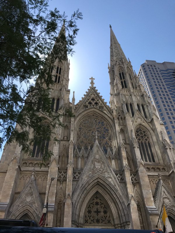 The Famous St. Patricks Cathedral
