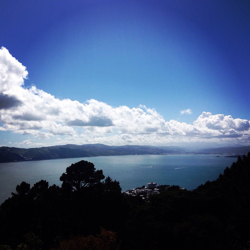 View Mount Victoria, Wellington