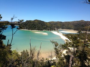 Torrent Bay- Abel Tasman National Park