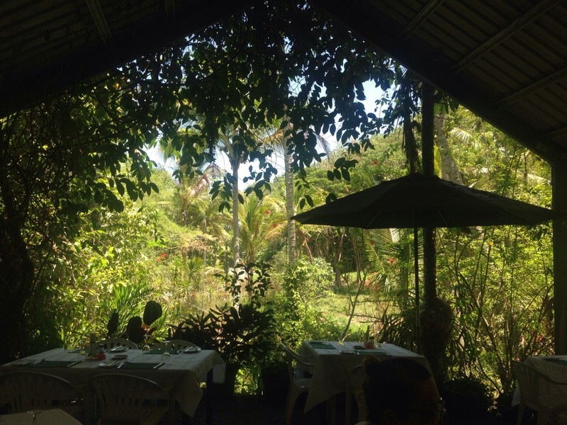 View from the Daintree Teahouse