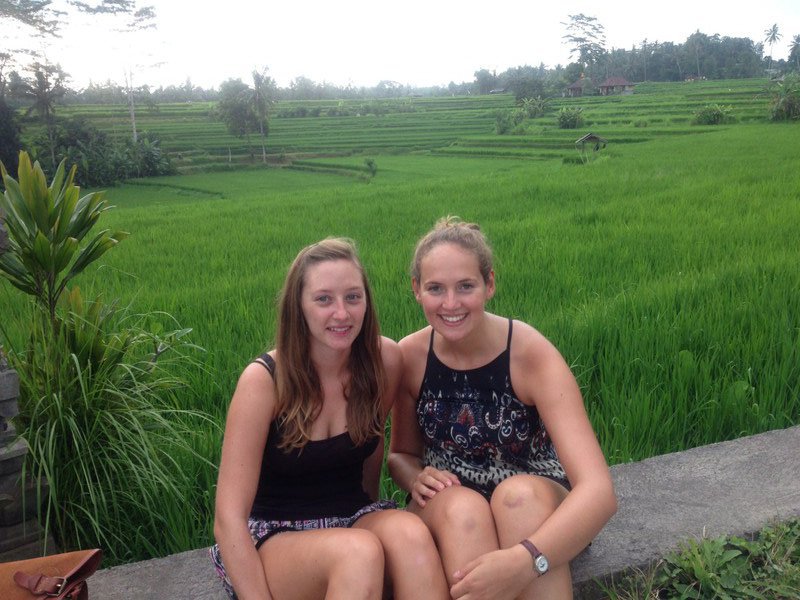 Rice field walk