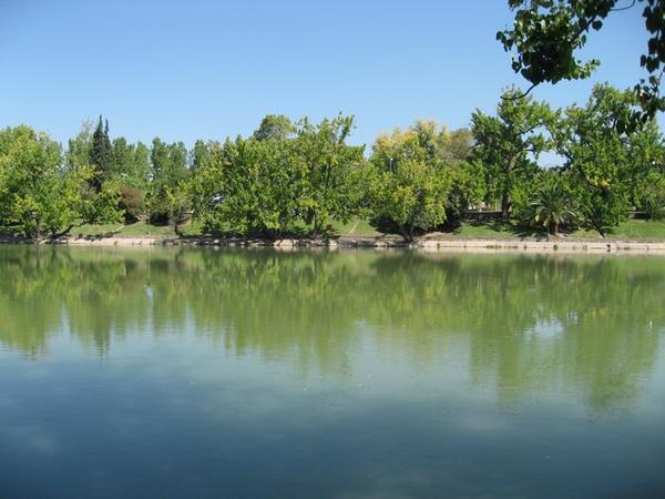 Beautiful park in Mendoza