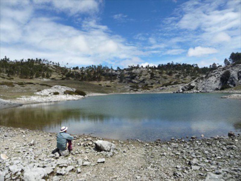 Laguna Ordonez