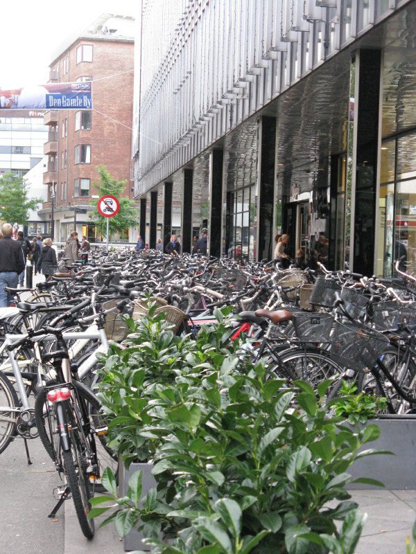 Bicycles, bicycles everywhere
