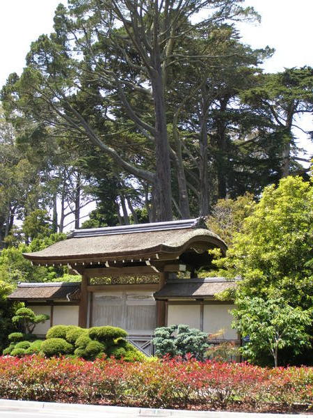Japenese Tea Gardens at Golden Gate Park