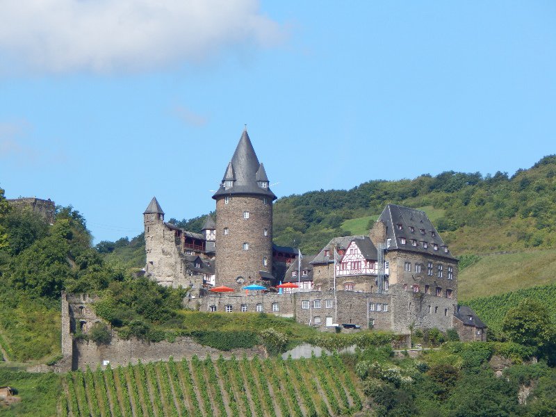 Rhine castle