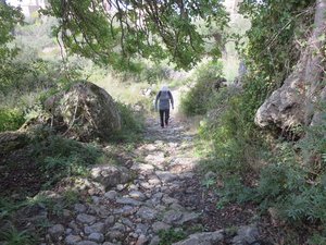 Stone trails near Kardamyli